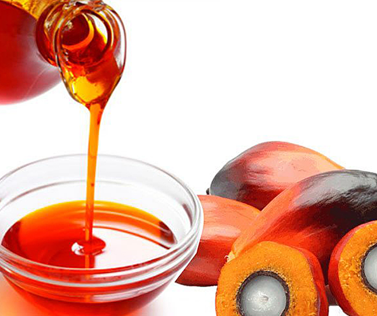 crude-palm-oil-zhonglianchemicals