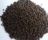 Diammonium Phosphate (DAP)fertilizer